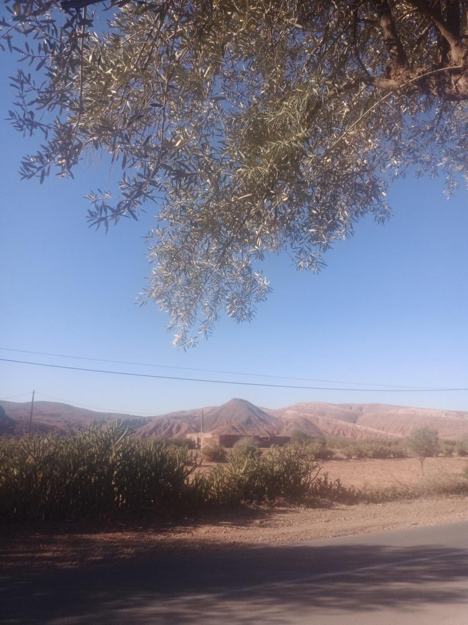 Les Delices D Aya Daire Tahanaout Dış mekan fotoğraf