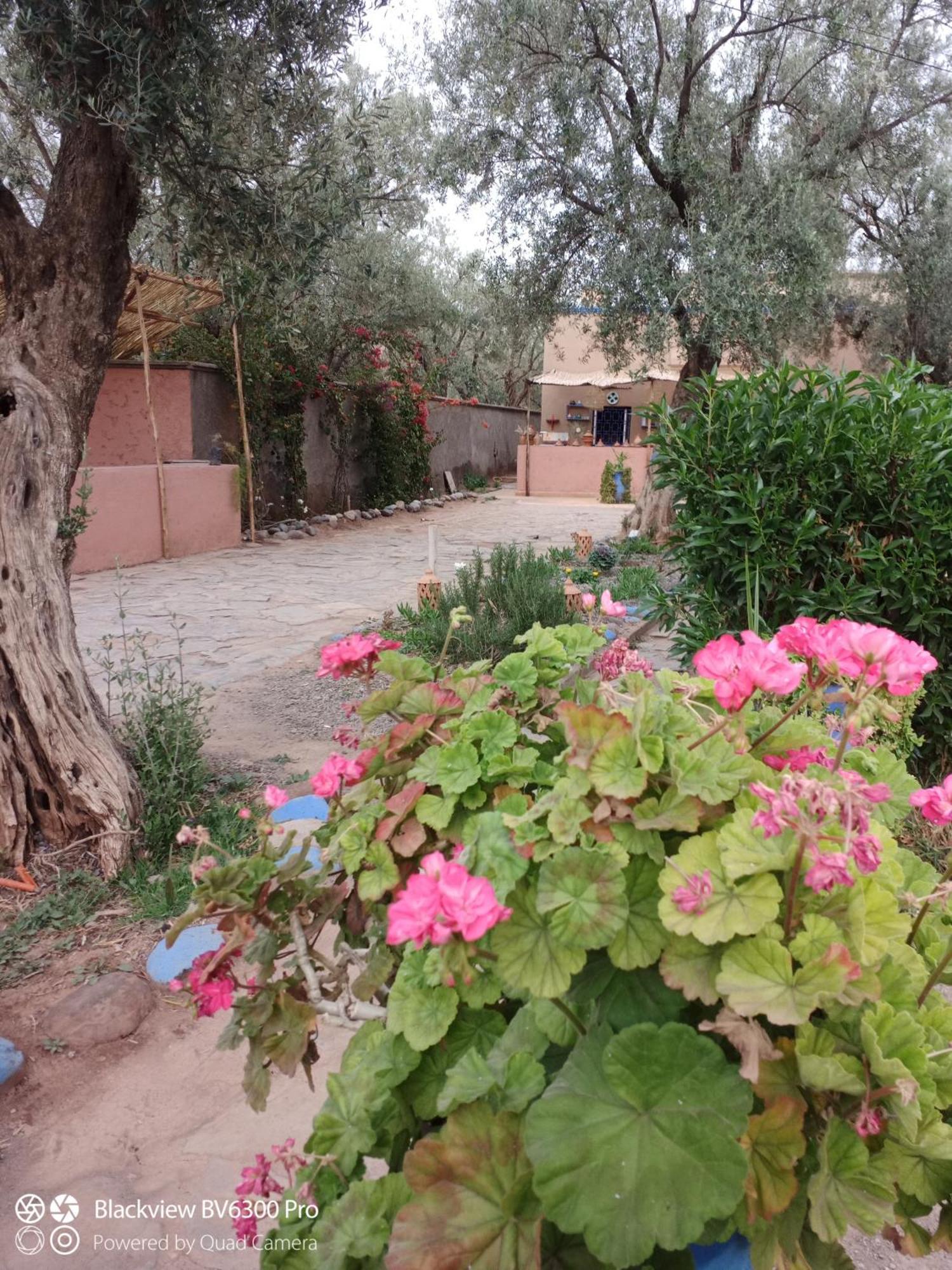 Les Delices D Aya Daire Tahanaout Dış mekan fotoğraf